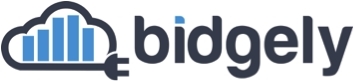 Bidgely Accelerates Growth with Former Tesla Renewable Energy Leader Tyler Moragne as Chief Strategy Officer

